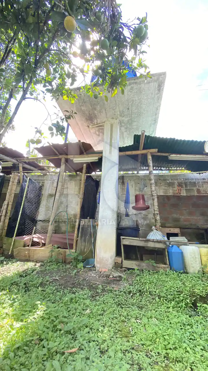 Vereda La Virginia Puente Tierra Yotoco